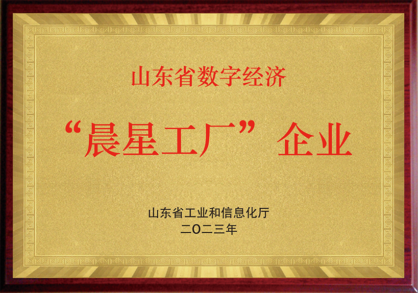 山东省数字经济晨星工厂企业